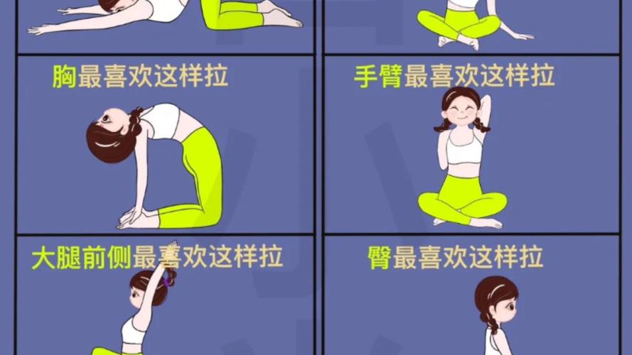 长途乘车途中坐姿拉伸动作示意图