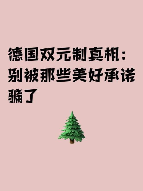 别被“德国技术”忽悠了