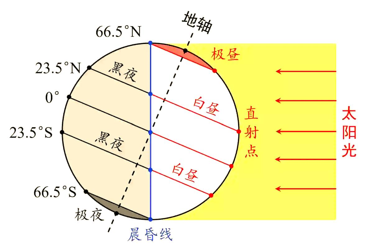 清晨阳光照射重置昼夜节律示意图