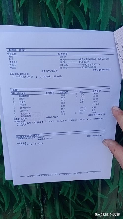 体检报告异常项目标注页实拍