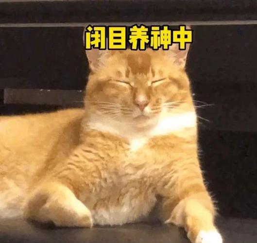 坐下之后呢？别急着闭眼