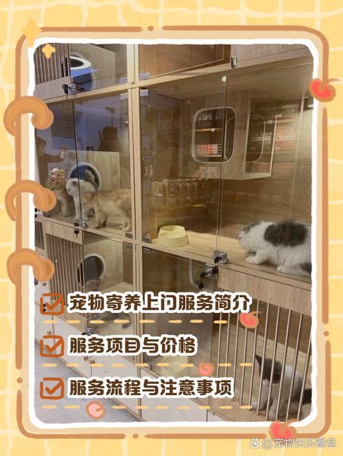 这几类宠物，真的别送公共寄养
