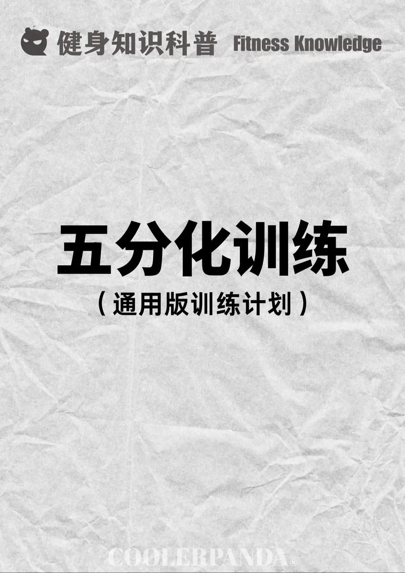 五分化就一无是处?