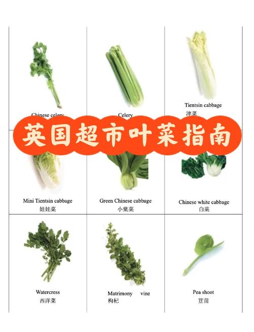 超市新鲜绿叶菜挑选对比图