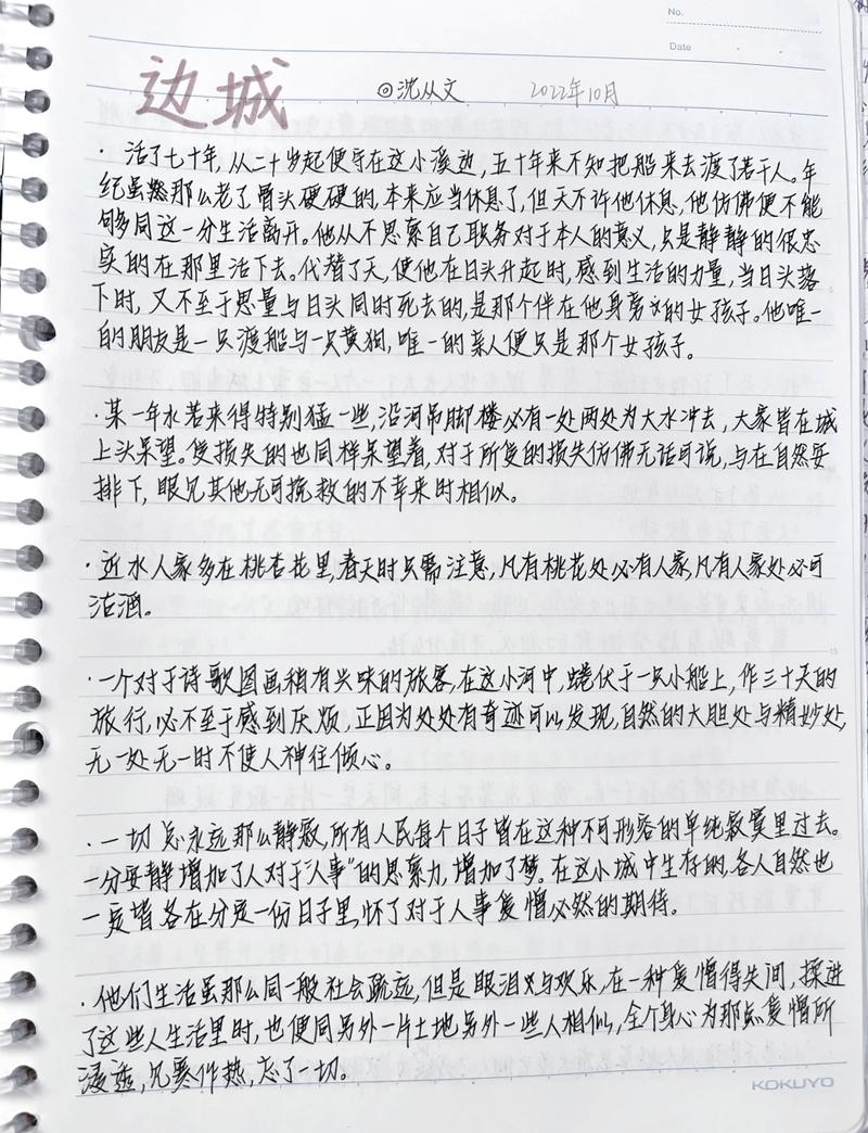 小说创作细节取舍标注的手写笔记实拍图