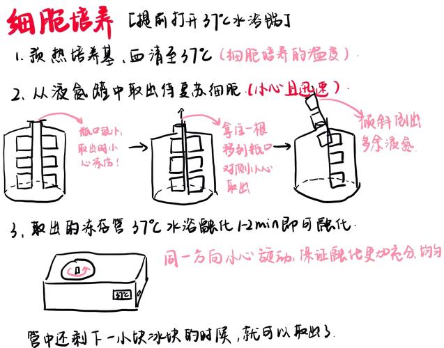 生物医药实验室细胞培养操作示意图