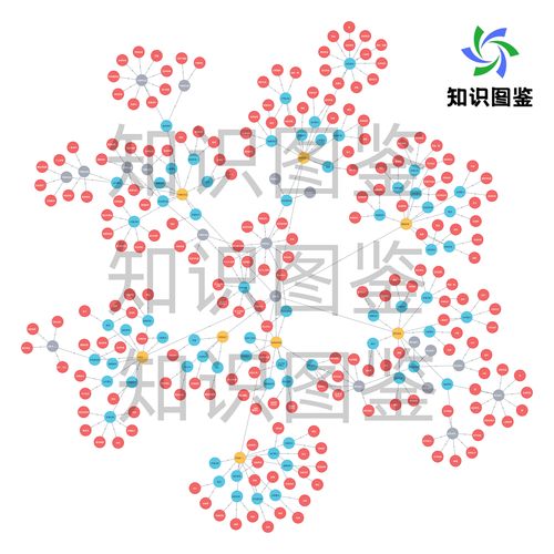 那些没被算法接住的小碎片