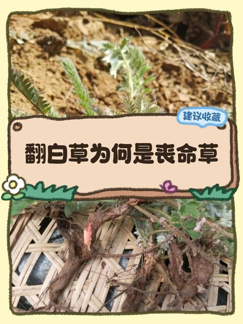 🌿 环保与安全：看不见的才最要命