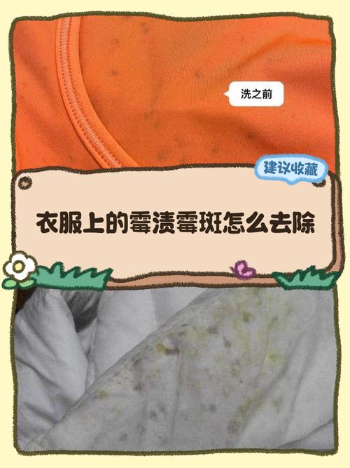 霉斑为什么总爱找上门?