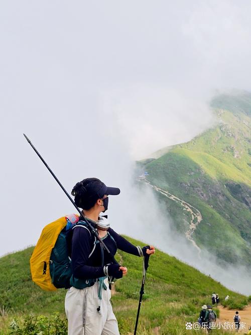 武功山清晨草甸沾露登山杖