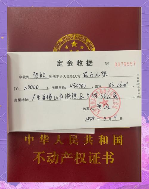 网红新盘售楼处购房定金收据照片