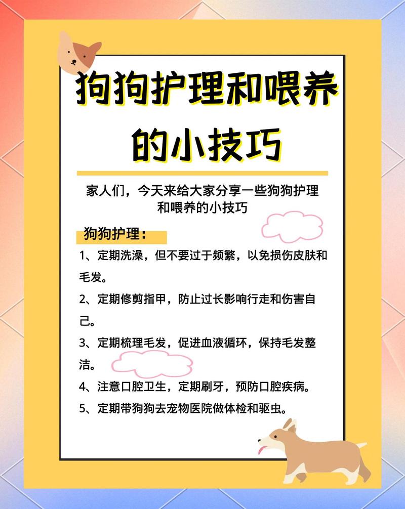 日常养宠该怎么切断传染