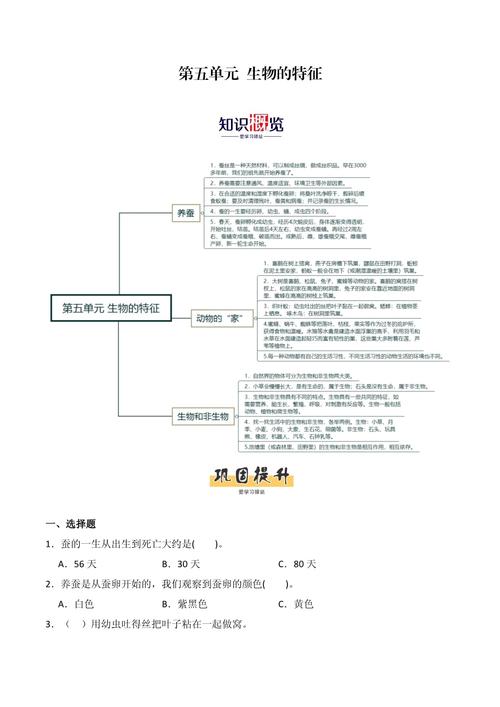 特征归纳题答题结构思维导图
