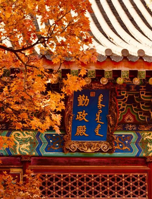 第二名：北京香山——城市红叶的“皇帝新装”，别去