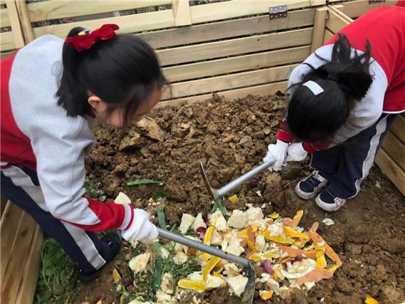 小学生用厨余垃圾堆肥的小菜园