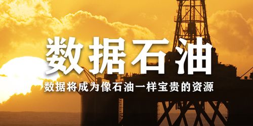 数据，就是工业服务的石油