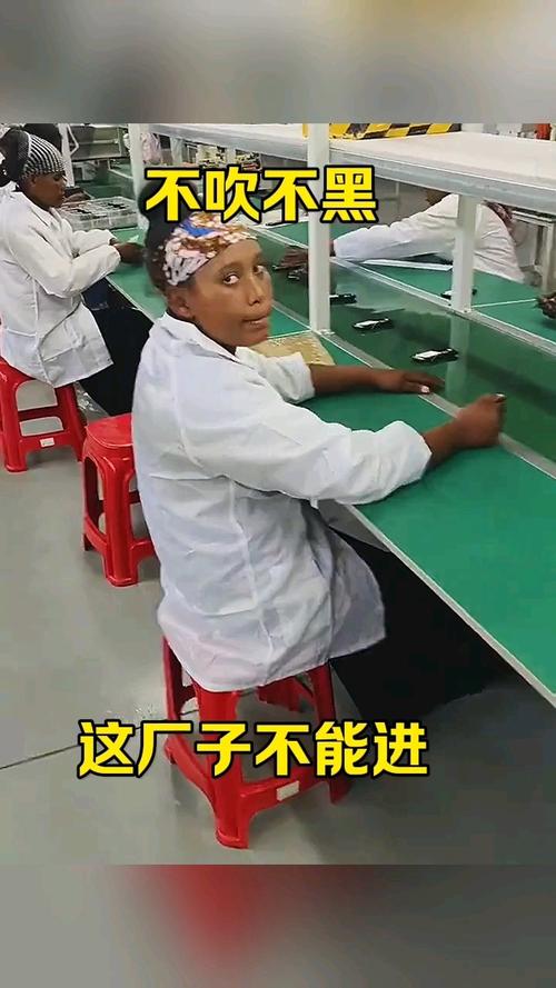 我摸过的几个厂子，不吹不黑随口聊