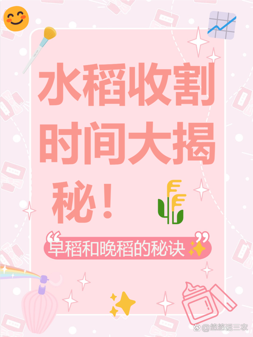 什么时候能收获?怎么用?