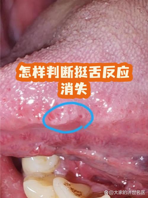 辅食添加期:读懂宝宝的进食信号,避开那些坑人的喂养误区-超级宝贝