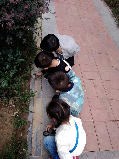 小学生蹲在阳台地砖上看蚂蚁搬巧克力渣