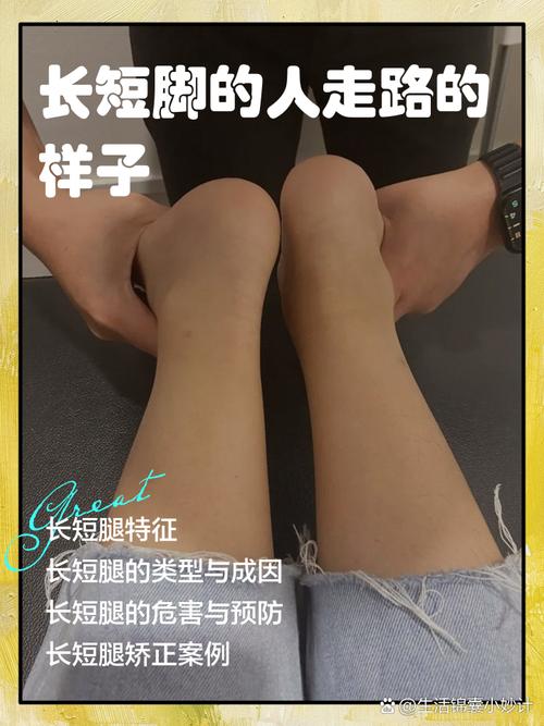 上短下长,腿长两米