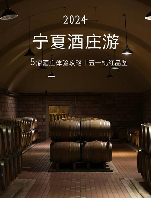 宁夏贺兰山东麓酒庄橡木桶陈酿 微光环境