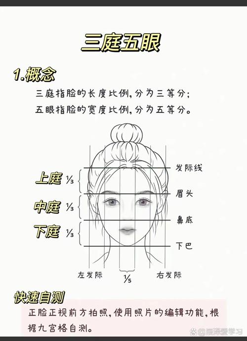 绘画教程:为什么我画的人脸总是歪的?,我问答网