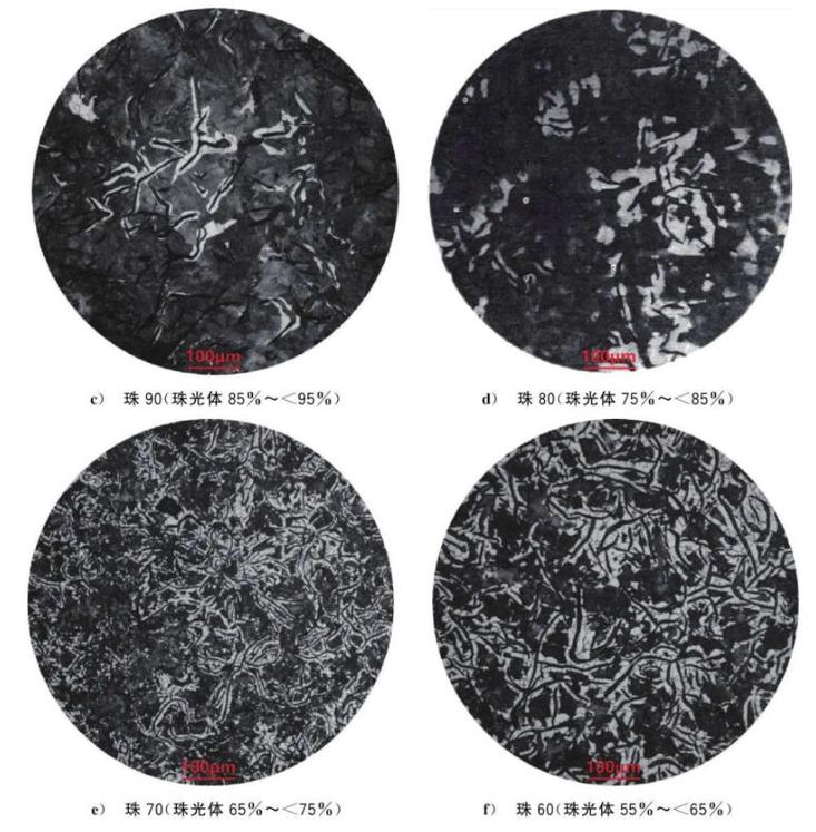 超薄涂层硅钢层间短路腐蚀金相图