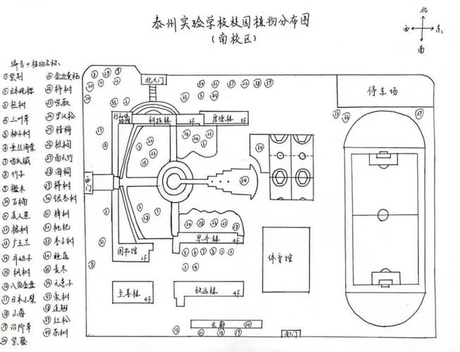 小学生用彩笔绘制校园植物地图的场景