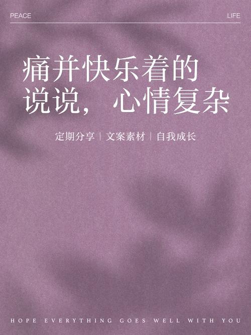 维护的痛与快乐