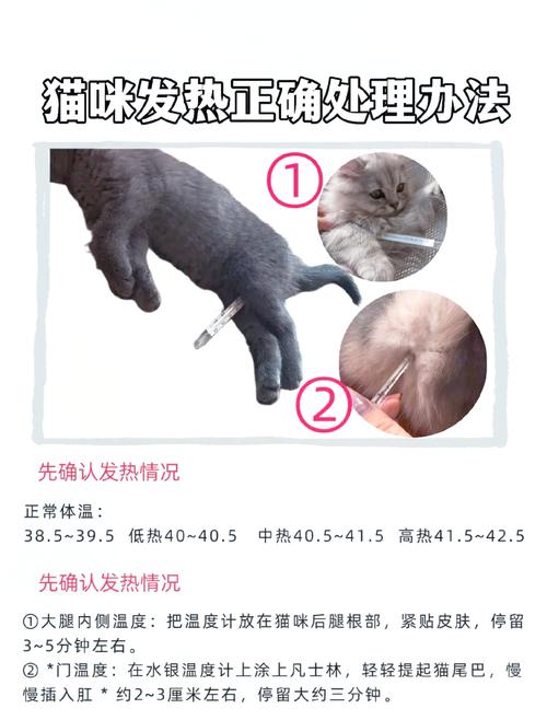 这些调温细节，能帮你少跑好几次宠物医院