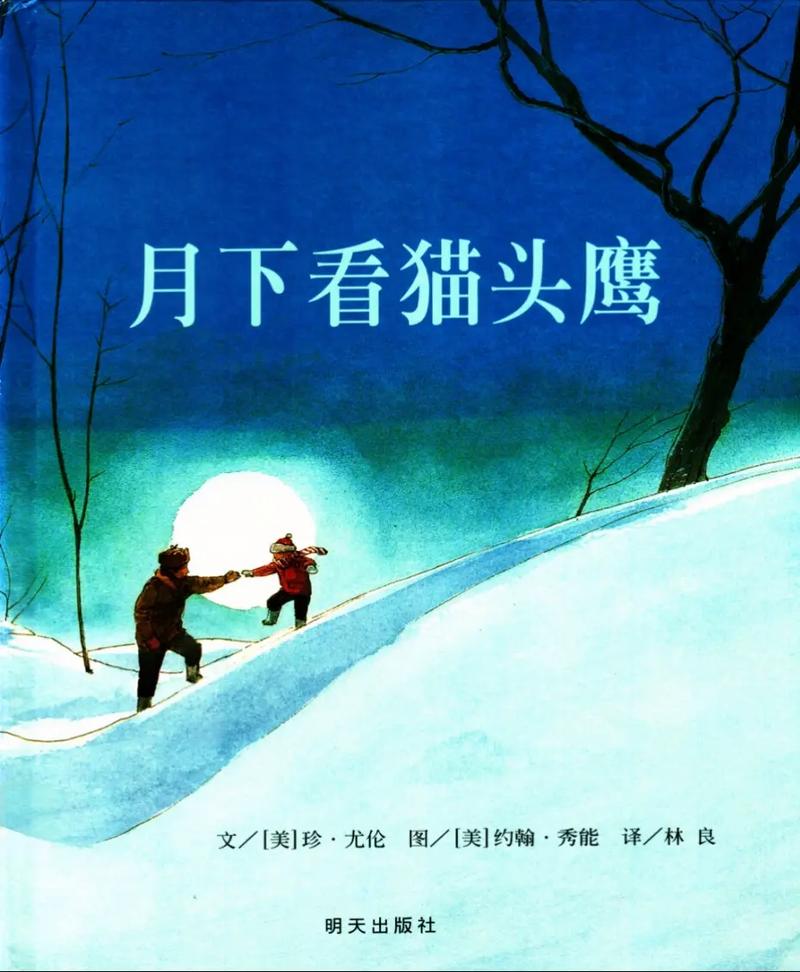 杨志成水墨绘本 月下看猫头鹰 雪地反光