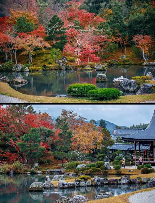 京都庭院枫叶与和式建筑