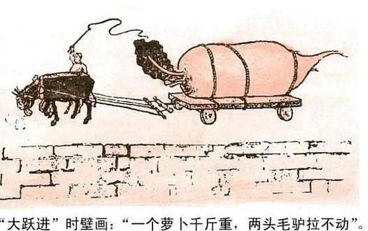 伪深耕与真深耕行为对比示意图