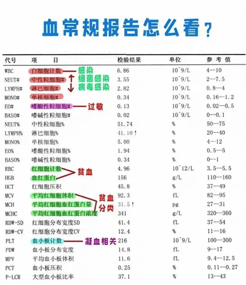 狗狗误食人用避孕药后宠物医院血常规异常报告单