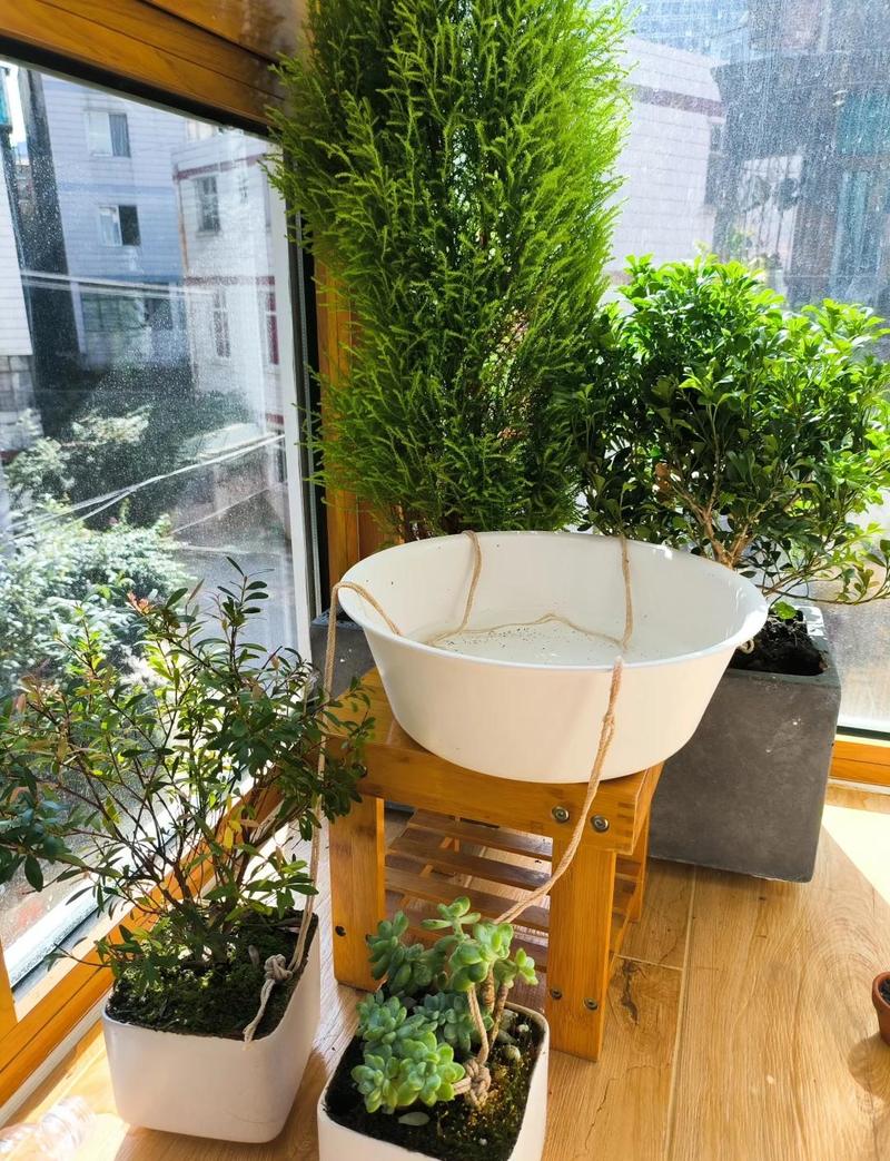 阳台绿植区就近放置浇水工具实景