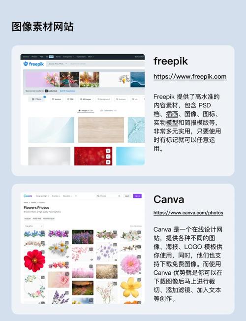 免费可商用图片网站pexels搜索界面