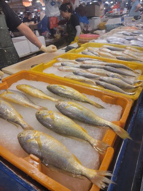 菜市场摆放的新鲜本地小黄花鱼冰鲜摊位