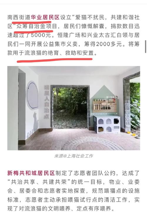 孩子们设计社区流浪猫治理方案