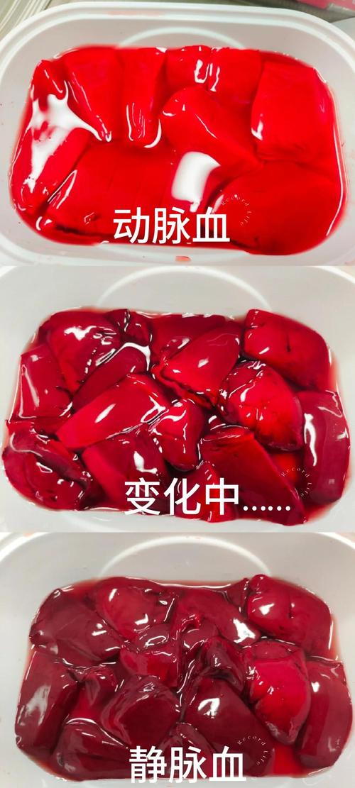 三、墨水是血液,纸是血管