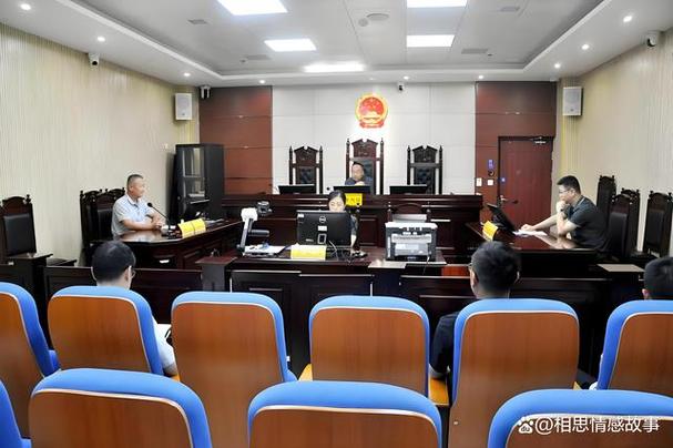 继父母子女抚养权纠纷法庭旁听席