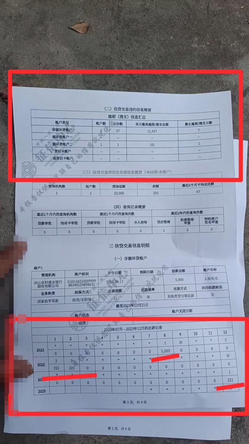 个人征信报告助学贷款逾期记录示意图