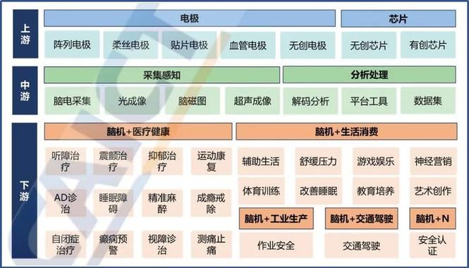 脑机接口成果转化全生命周期节点管控表