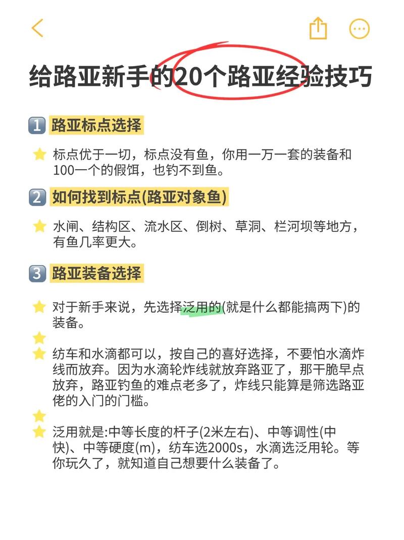 给新手的几个实用小经验