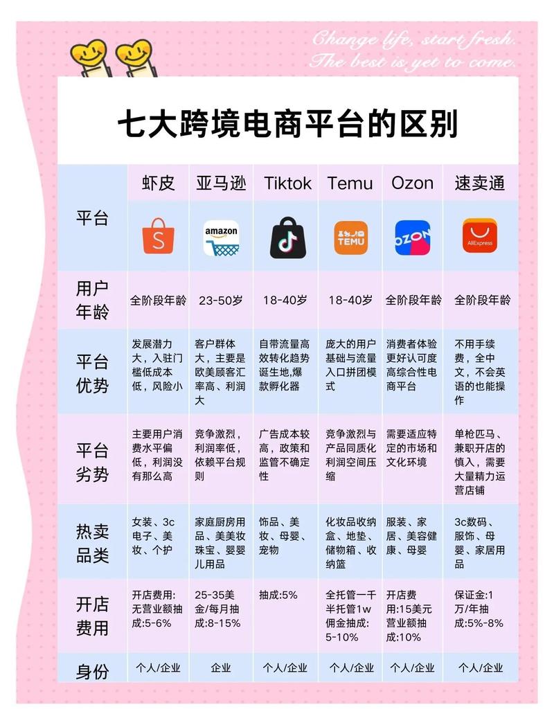 跨境电商独立站品牌化新老用户占比对比图