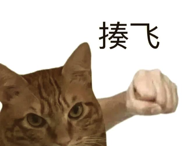 那些让你抓狂的故障，根儿在这儿