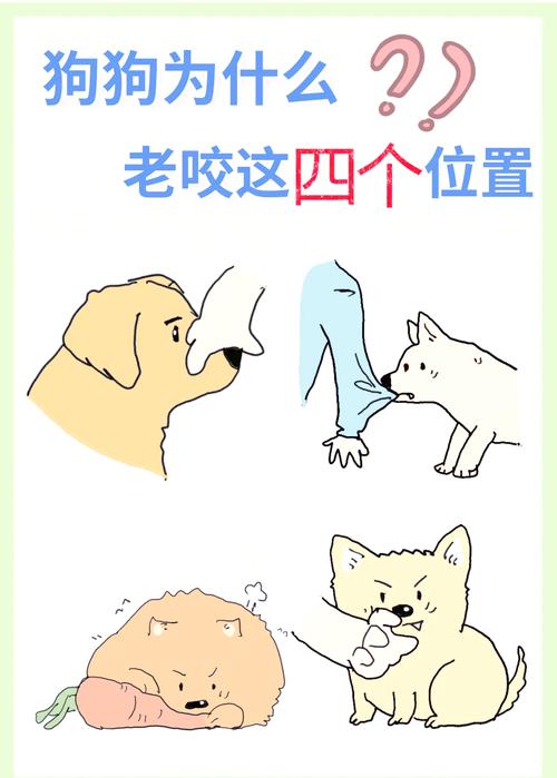 狗狗咬人前肢体警告信号示意图