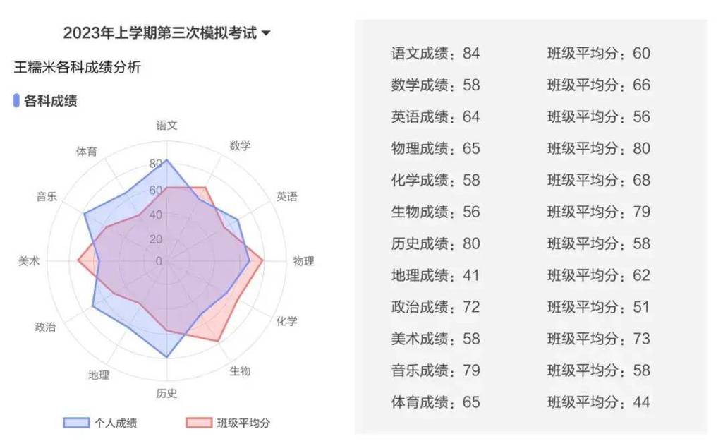 学生综合素质评价雷达图