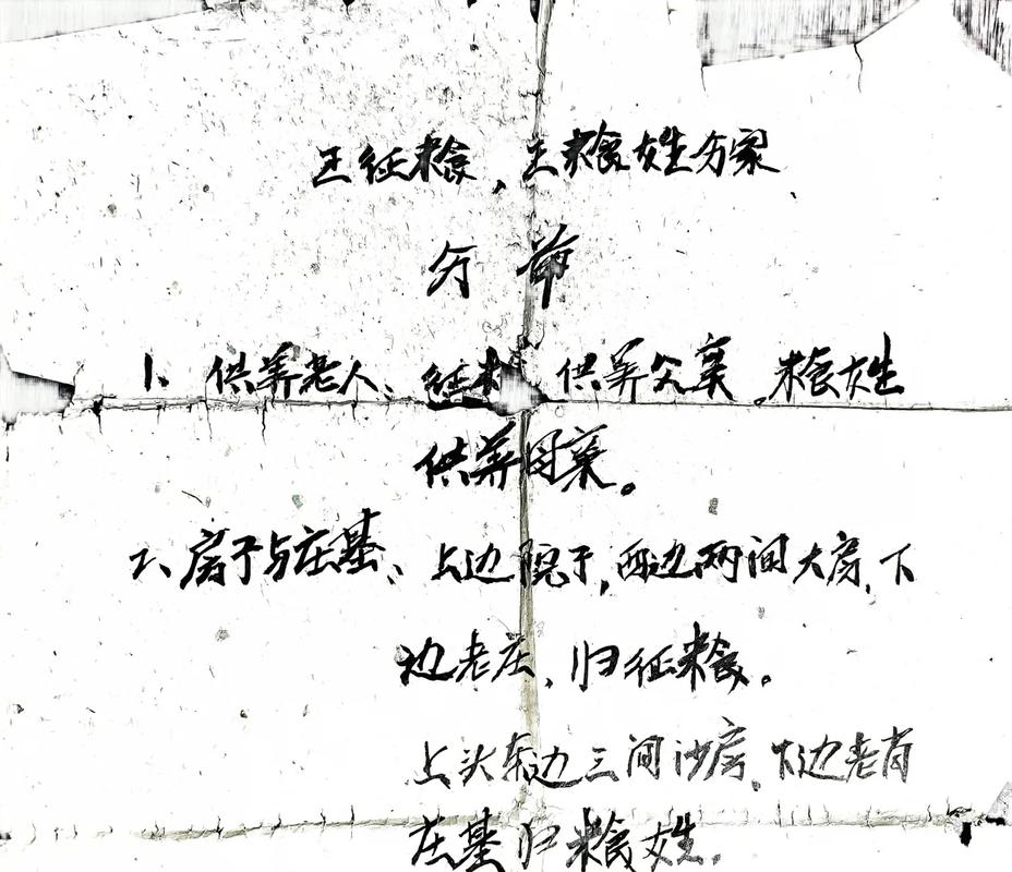 民间手写家庭分家协议原件实拍