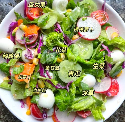 新鲜蔬菜沙拉与三天后蔬菜沙拉外观比较